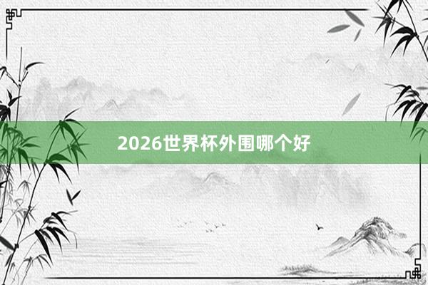 2026世界杯外围哪个好